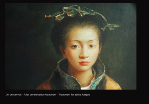 Oil on canvas - After conservation - Treatment for active fungus